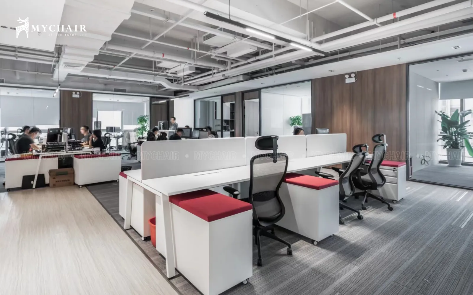 Ghế công thái học VXTDA - ghế xoay văn phòng