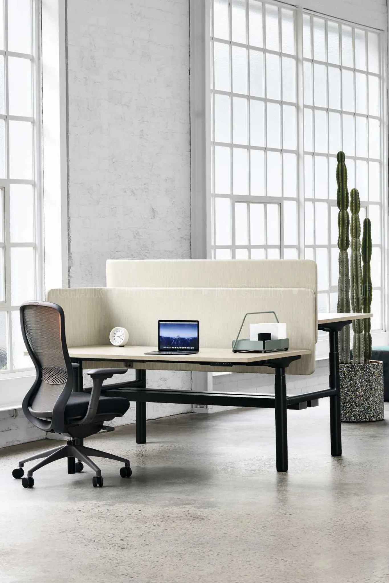 Ghế công thái học ergonomic hỗ trợ cột sống