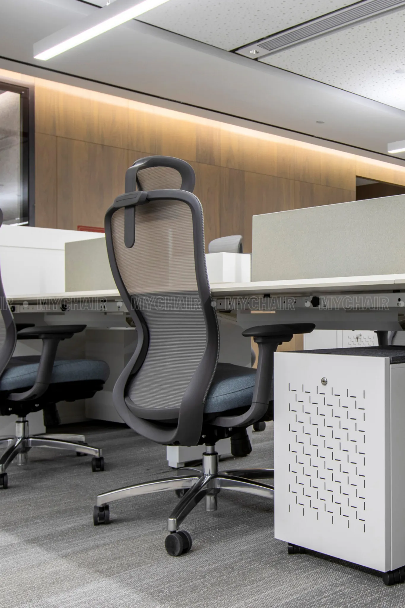 Ghế công thái học ergonomic hỗ trợ cột sống