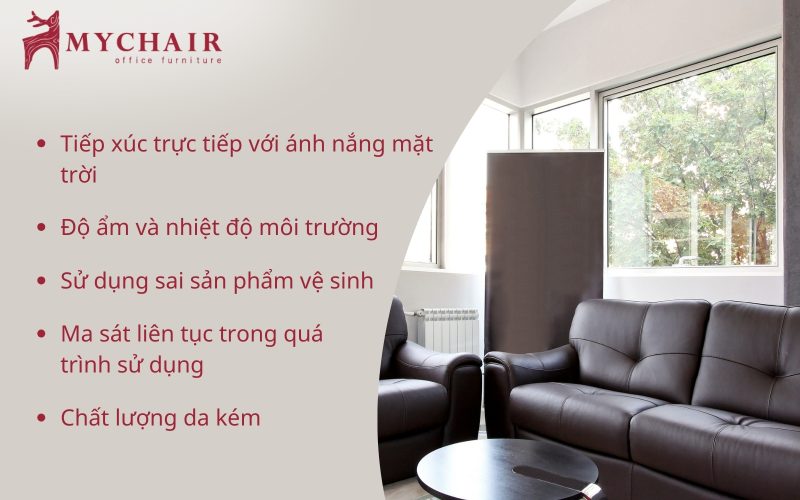 lý do dẫn đến tình trạng ghế sofa bị phai màu