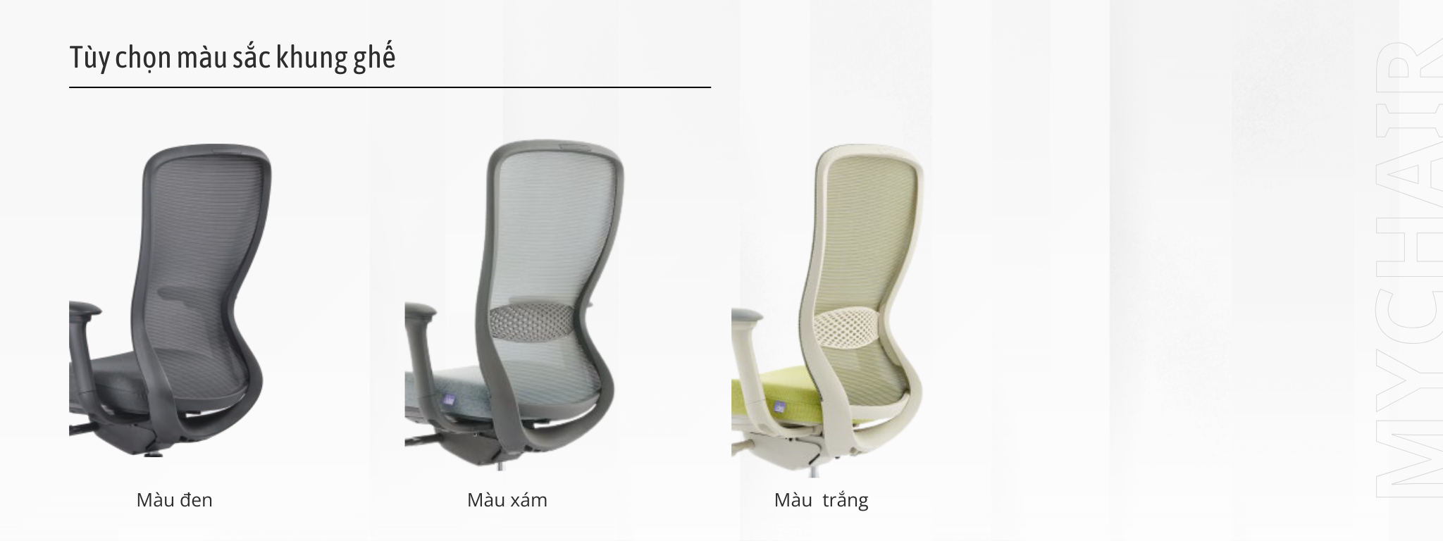 tùy chọn đi kèm ghế công thái học 2