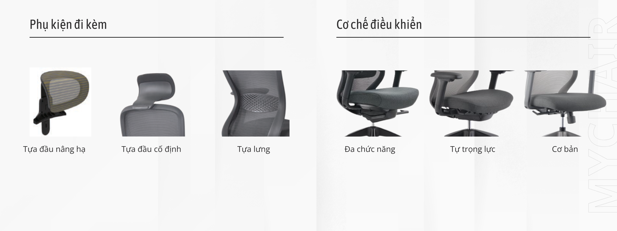 tùy chọn đi kèm ghế công thái học 2