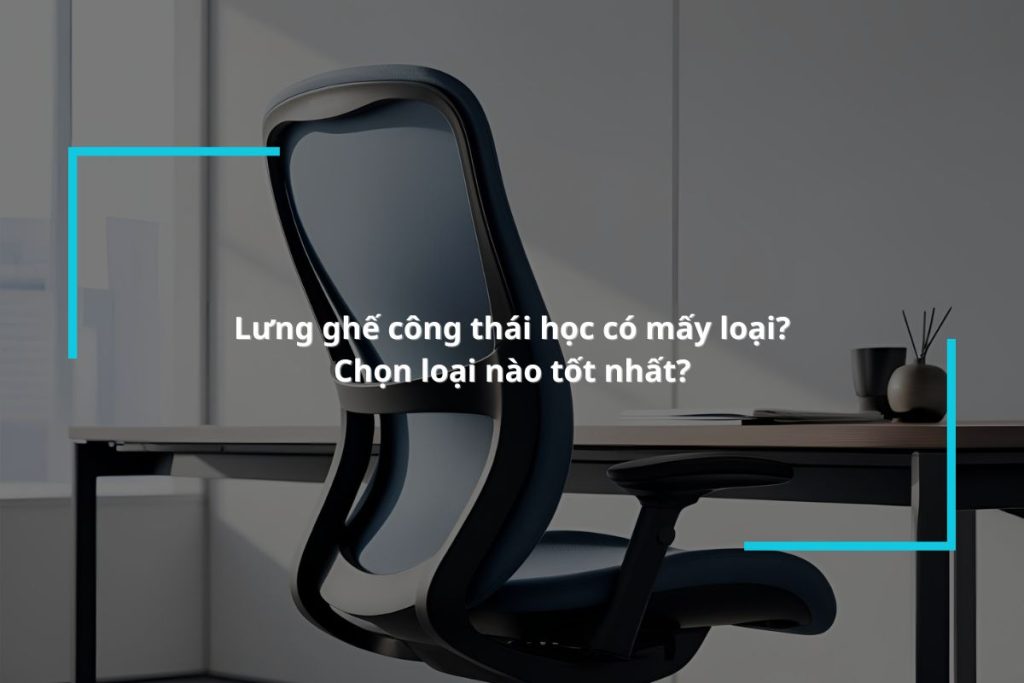 Cách phân loại lưng ghế công thái học