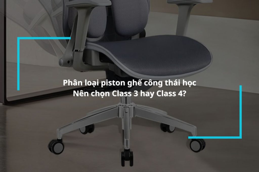 Hướng dẫn phân loại piston ghế công thái học