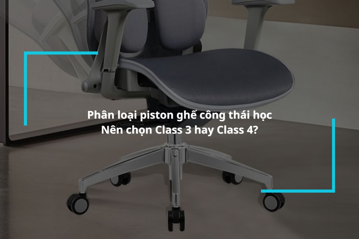 Hướng dẫn phân loại piston ghế công thái học