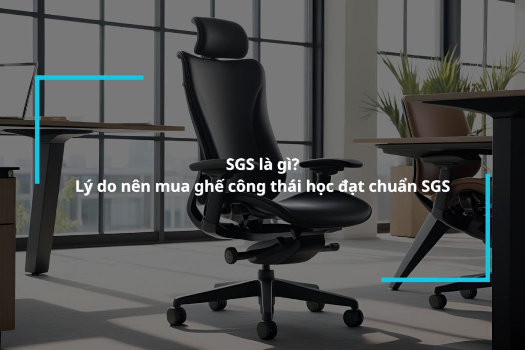 Tiêu chuẩn SGS là gì?