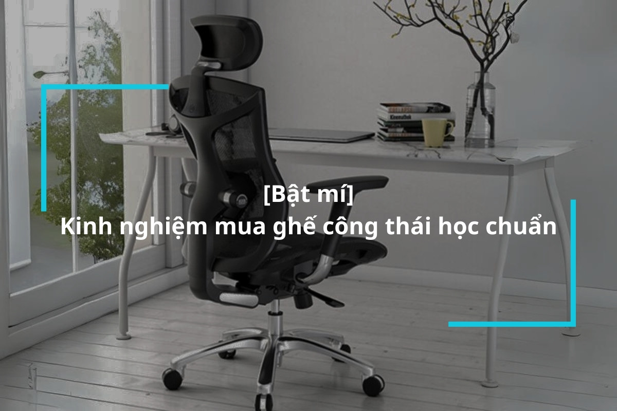 Bật mí kinh nghiệm chọn mua ghế công thái học chuẩn xác