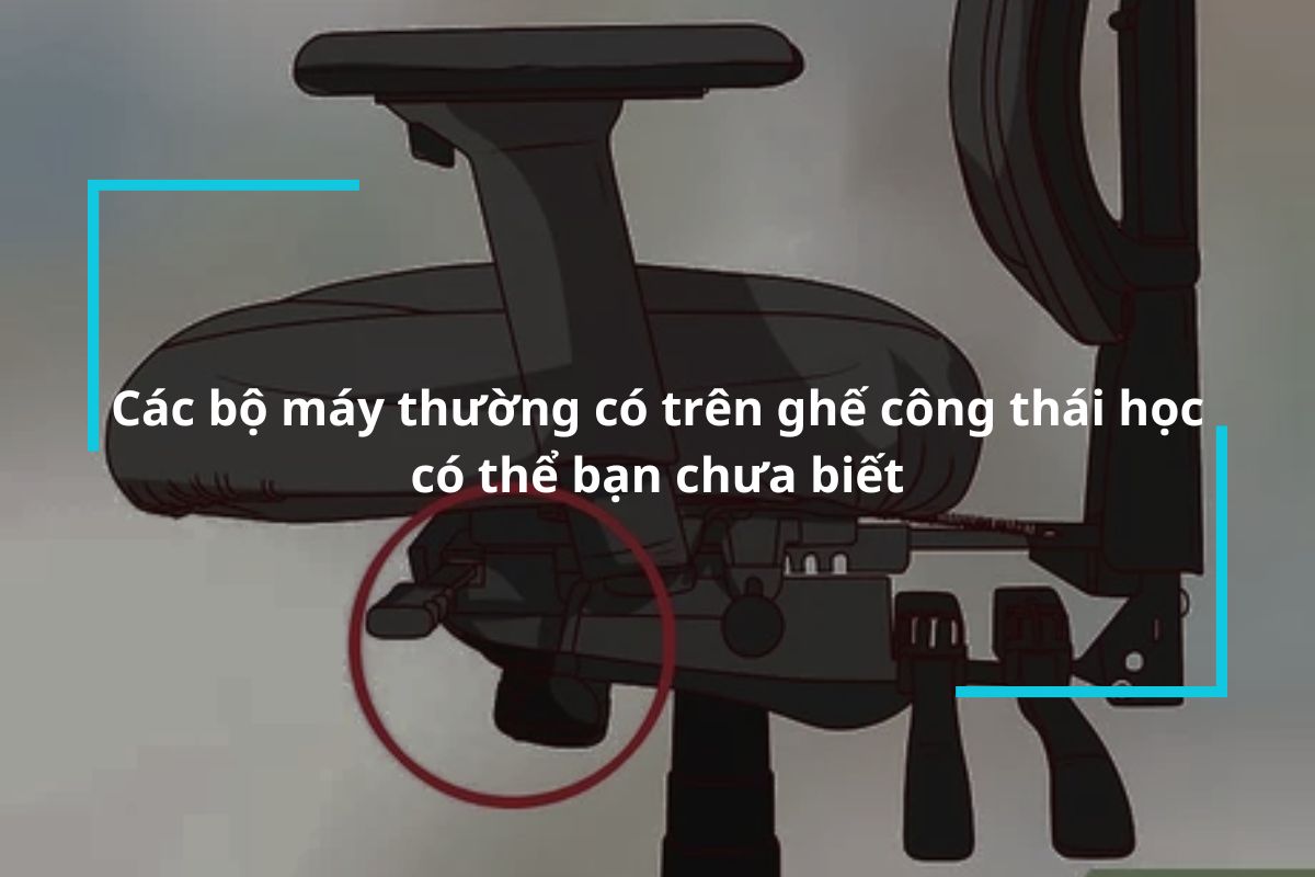 Tìm hiểu các bộ máy thường có trên ghế công thái học