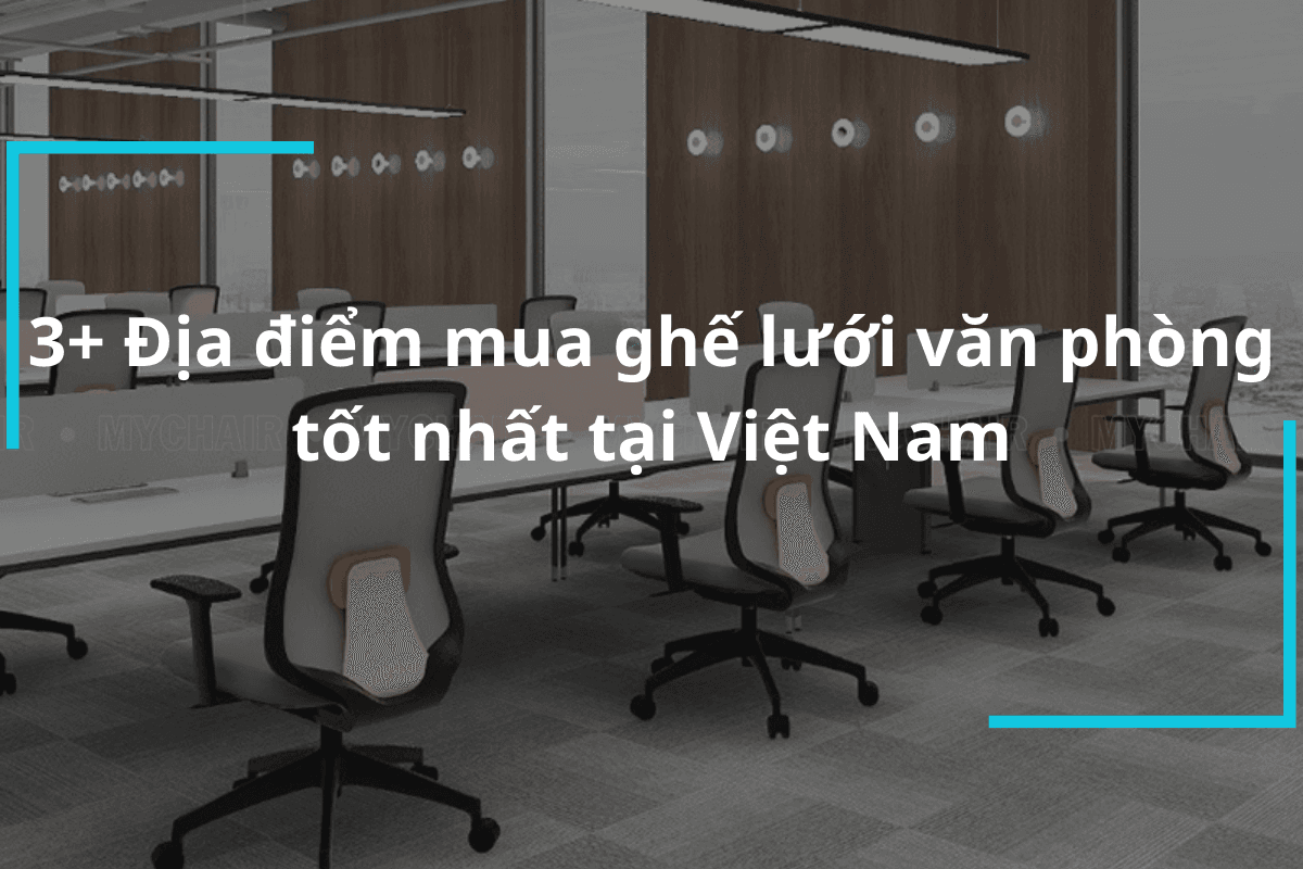 3+ Địa Điểm Mua Ghế Lưới Văn Phòng Tốt Nhất Tại Việt Nam