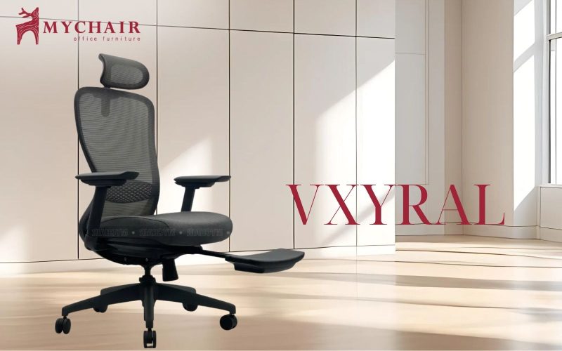 Mẫu ghế ngã lưng VXYRA