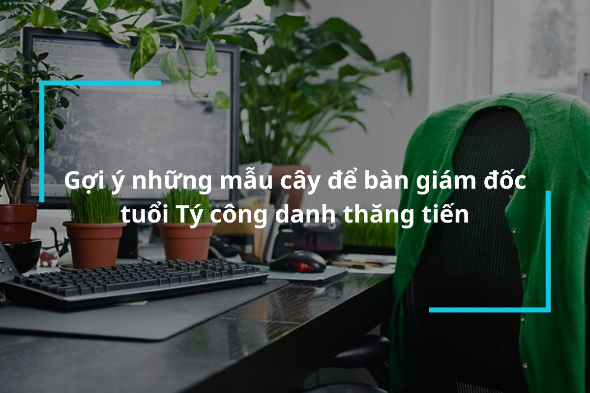 Gợi ý những mẫu cây để bàn giám đốc tuổi Tý công danh thăng tiến