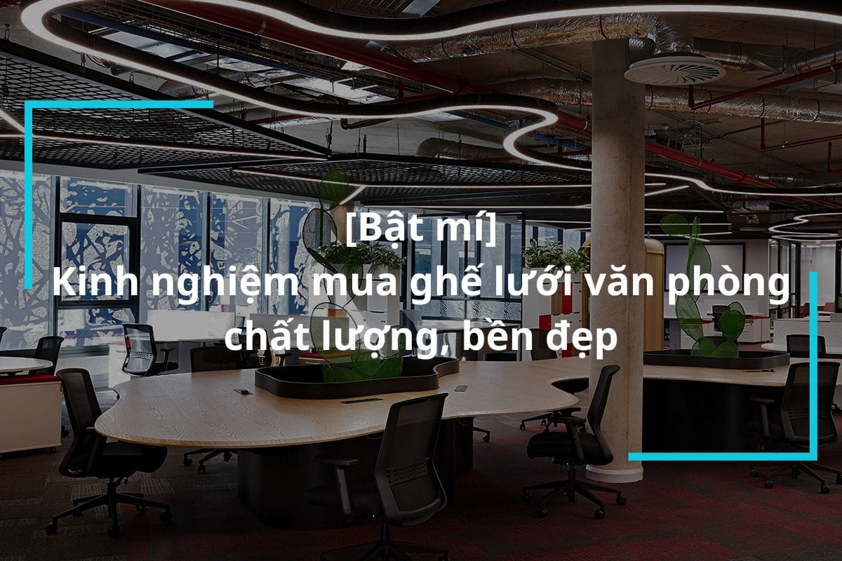 Bật mí kinh nghiệm mua ghế lưới văn phòng chất lượng, bền đẹp