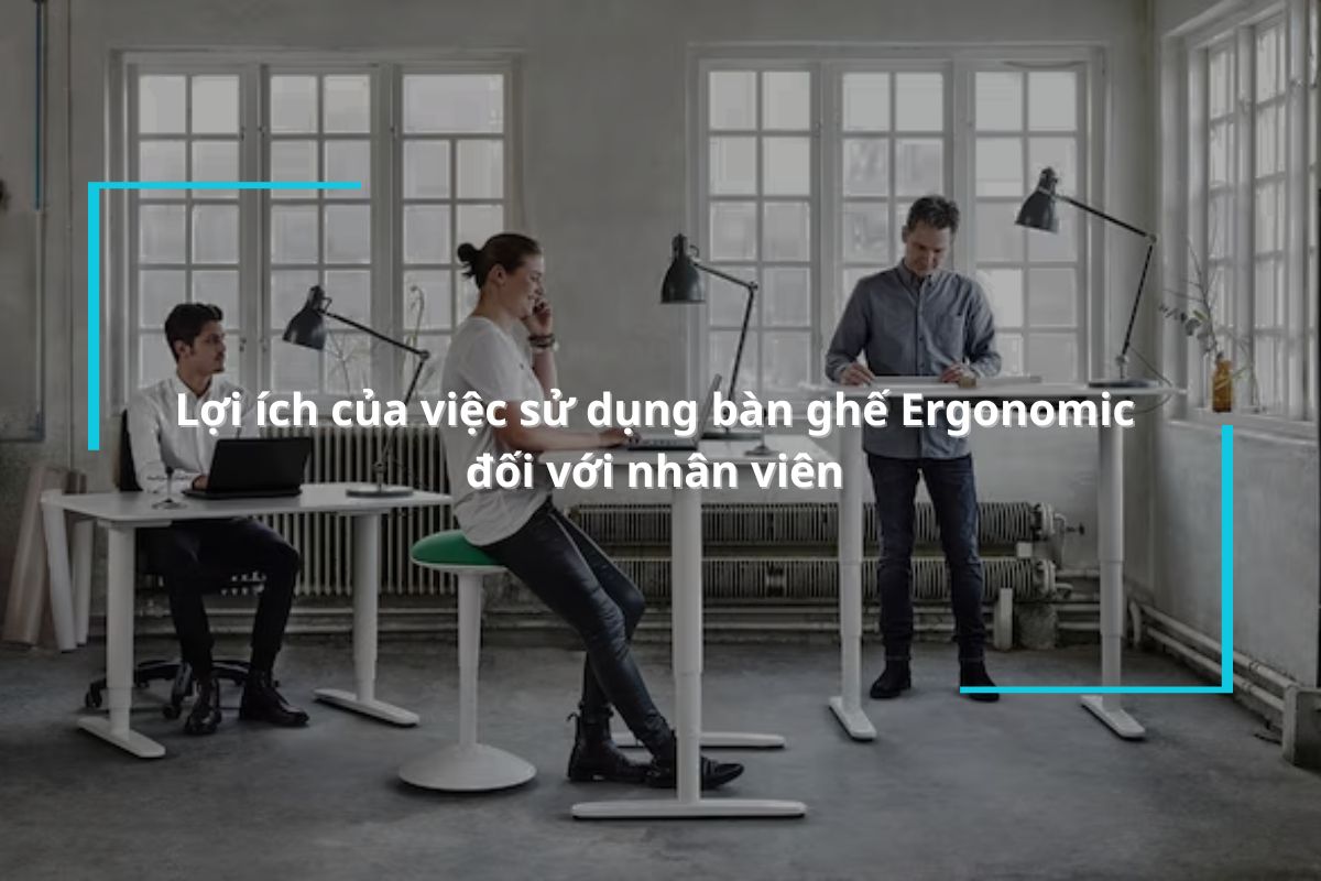 Lợi ích của việc sử dụng bàn ghế Ergonomic đối với nhân viên có thể bạn chưa biết
