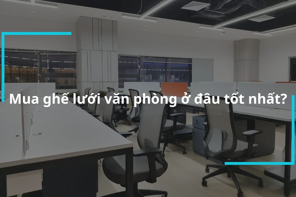 Mua Ghế Lưới Văn Phòng Ở Đâu Tốt Nhất?