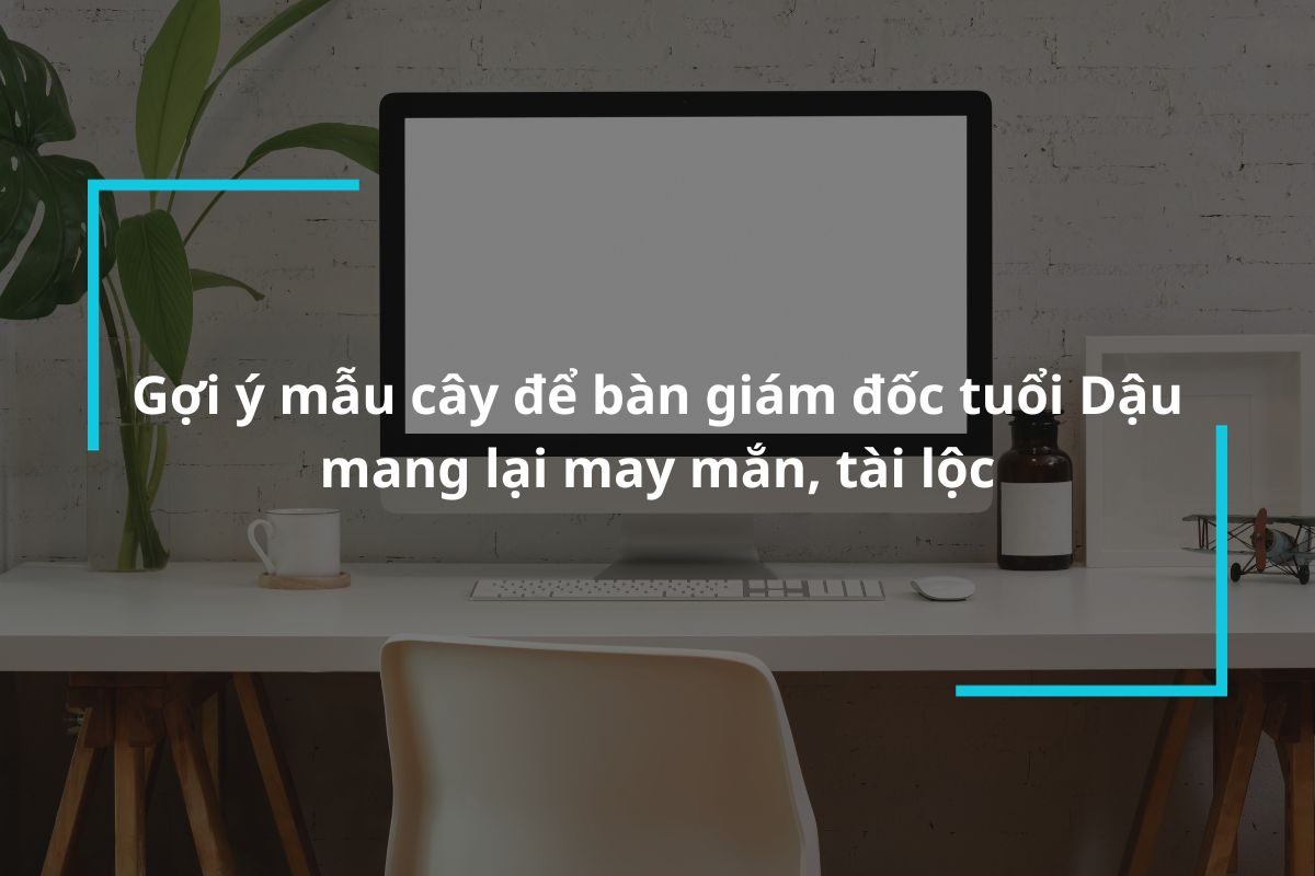 Gợi ý những mẫu cây để bàn giám đốc tuổi Dậu mang lại may mắn, tài lộc
