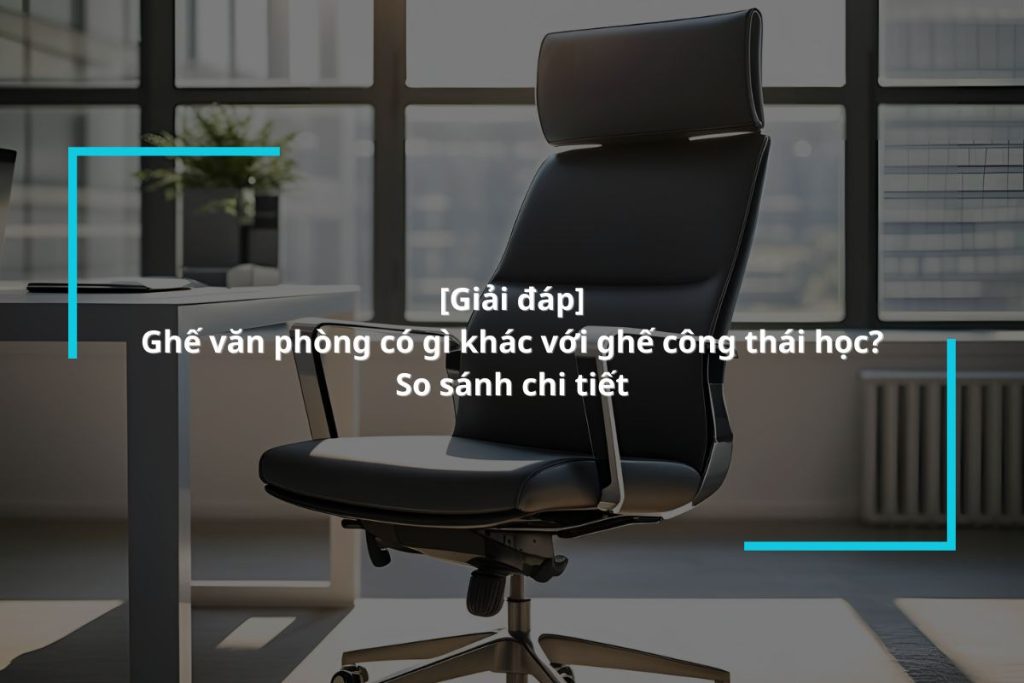 Tìm hiểu sự khác biệt ghế công thái học và ghế văn phòng