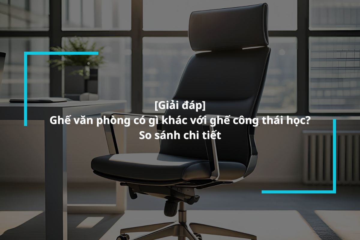 Tìm hiểu sự khác biệt ghế công thái học và ghế văn phòng