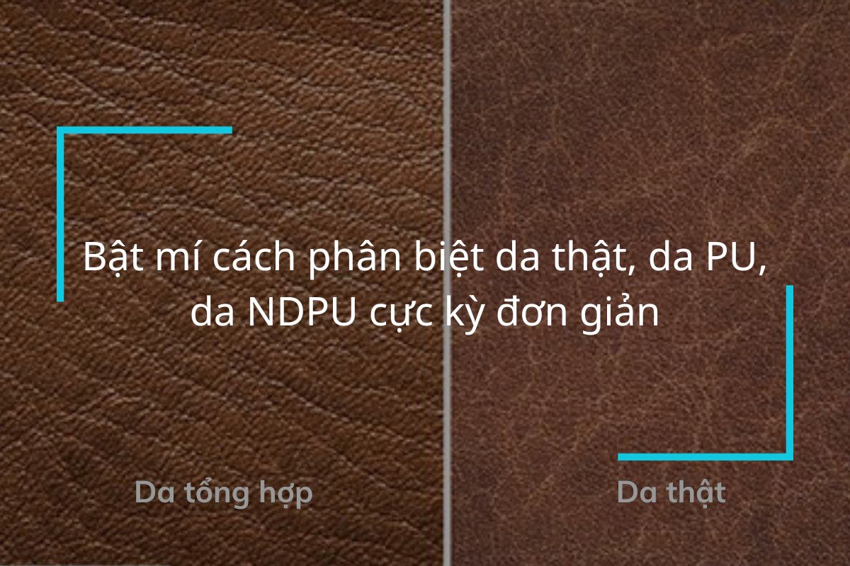 Bật mí cách phân biệt da thật, da PU, da NDPU cực kỳ đơn giản