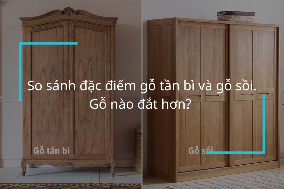 So sánh đặc điểm gỗ tần bì và gỗ sồi. Gỗ nào đắt hơn? 