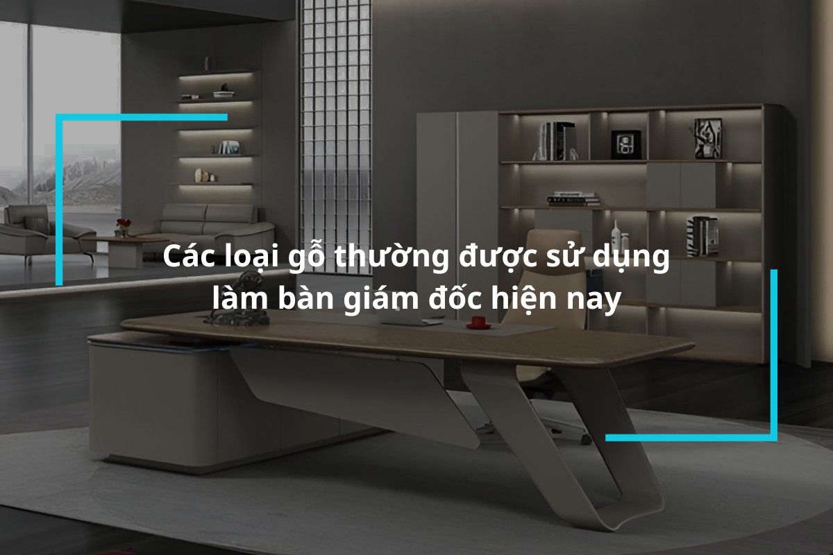Các loại gỗ thường được sử dụng làm bàn giám đốc hiện nay