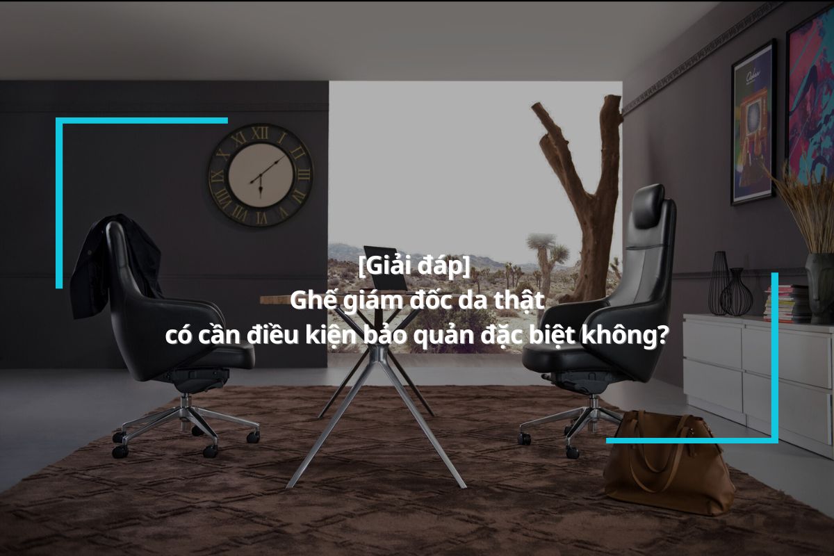 [Giải đáp] Ghế giám đốc da thật có cần điều kiện bảo quản đặc biệt không?