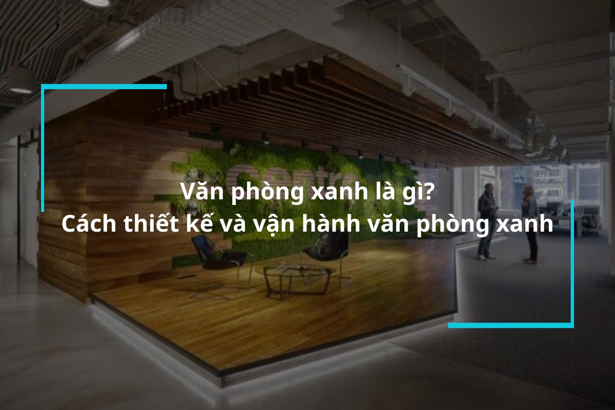 Văn phòng xanh là gì? Cách thiết kế và vận hành văn phòng xanh hiệu quả