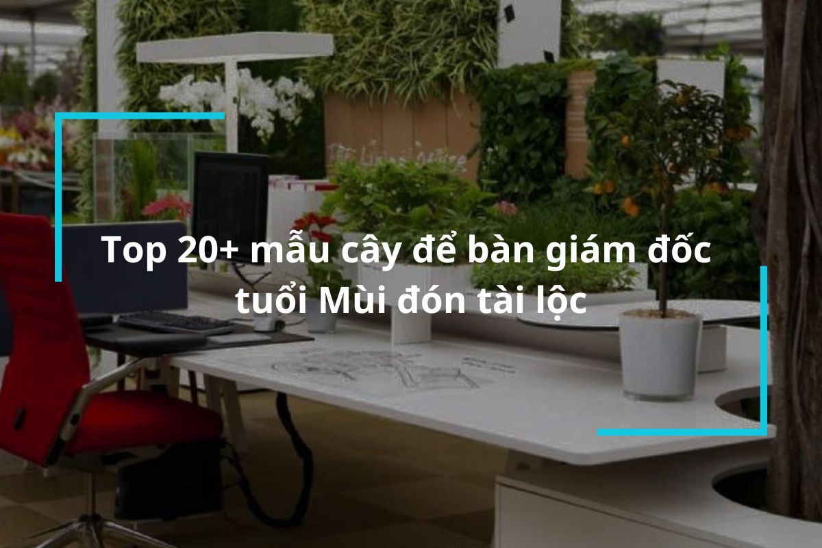 Top 20+ mẫu cây để bàn giám đốc tuổi Mùi đón tài lộc