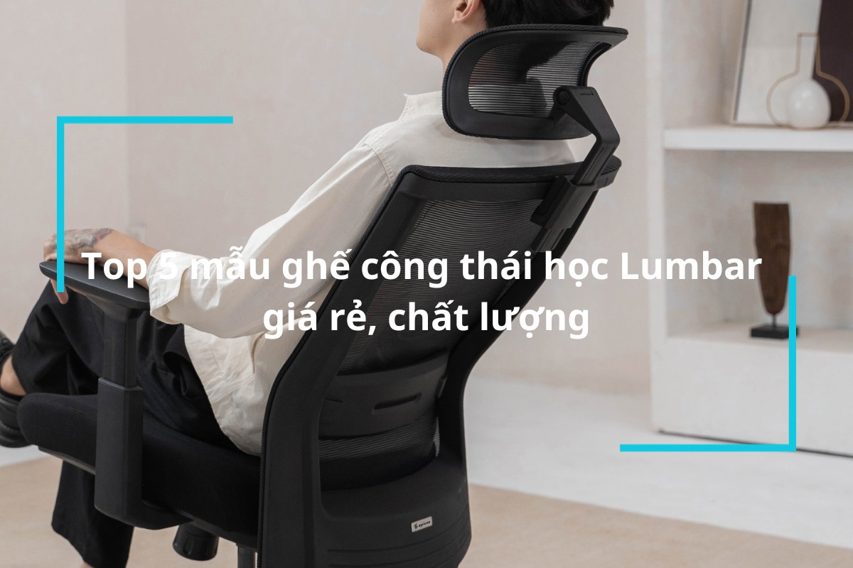Top 5 mẫu ghế công thái học Lumbar giá rẻ, chất lượng