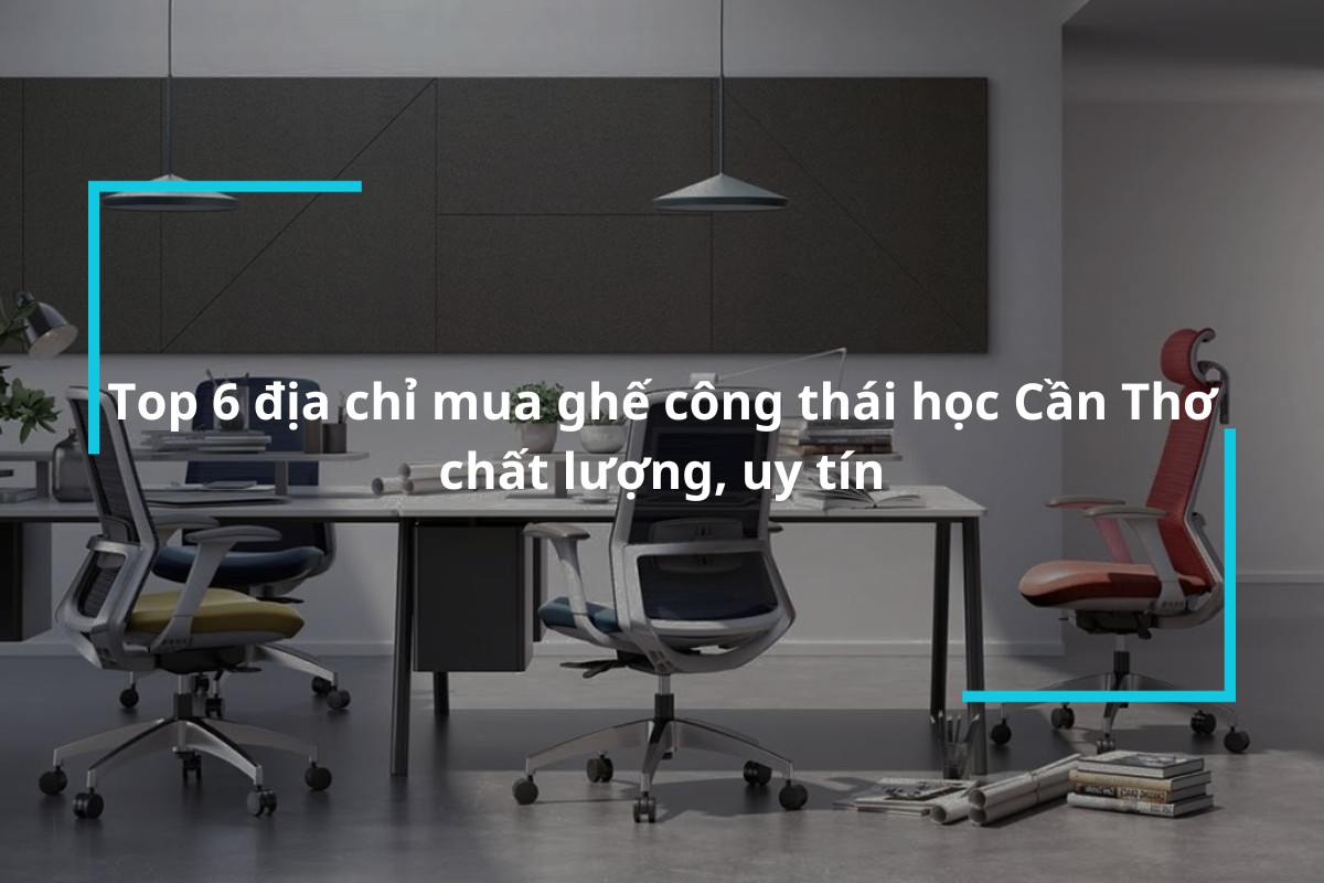 Khám phá ngay 6 địa chỉ mua ghế công thái học Cần Thơ chất lượng, uy tín