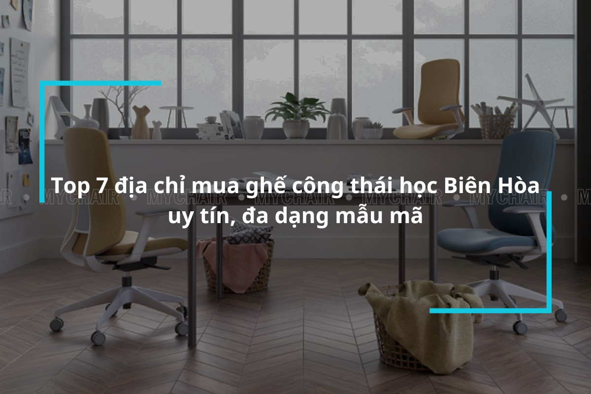 Lưu lại ngay 7 địa chỉ mua ghế công thái học Biên Hòa đa dạng mẫu mã