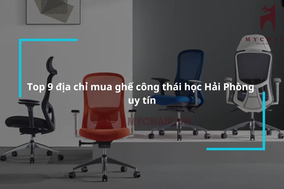 Top 9 địa chỉ mua ghế công thái học Hải Phòng uy tín