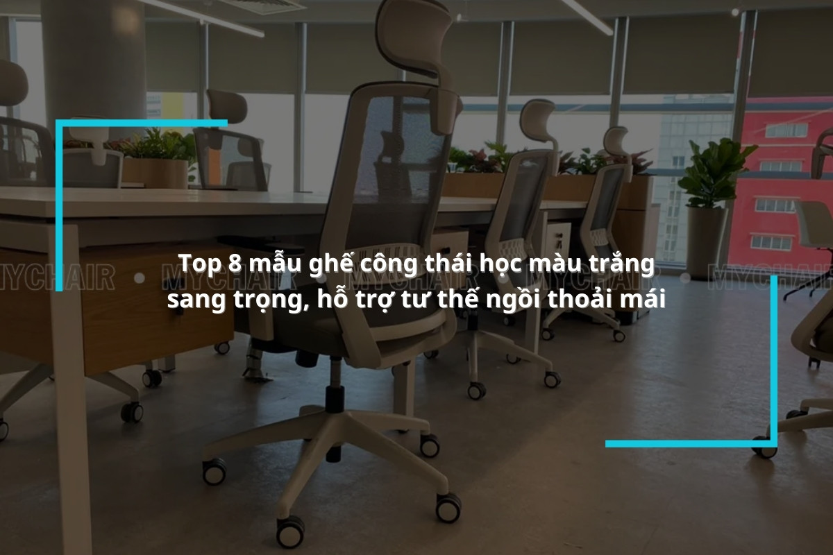 Top 8 mẫu ghế công thái học màu trắng sang trọng, hỗ trợ tư thế ngồi thoải mái