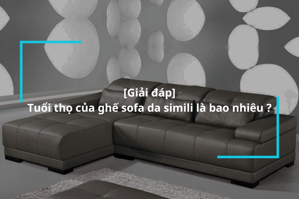 [Giải đáp] Tuổi thọ của ghế sofa da simili là bao nhiêu năm?