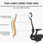 Ghế Trưởng Phòng MyChair AXTDA