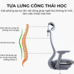 Ghế Xoay Văn Phòng Cao Cấp MyChair VXMDA