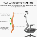 Ghế Trưởng Phòng MyChair AXTDA
