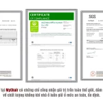 Ghế Training Liền Bàn KTNFM MyChair