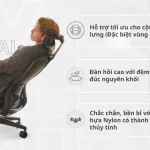 Ghế Công Thái Học VXYRAL