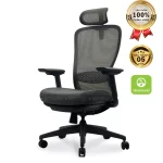 Ghế Công Thái Học VXYRAL