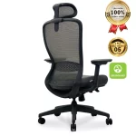 Ghế Công Thái Học VXYRAL