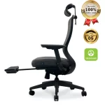 Ghế Công Thái Học VXYRAL