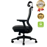 Ghế Công Thái Học VXYRAL