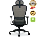 Ghế Công Thái Học VXYRAL