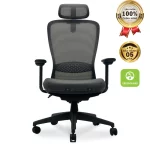 Ghế Công Thái Học VXYRAL