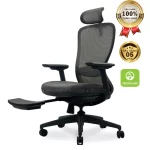 Ghế Công Thái Học VXYRAL