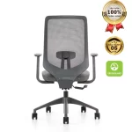 Ghế Công Thái Học XKYF