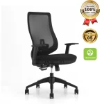 Ghế Công Thái Học XKYF