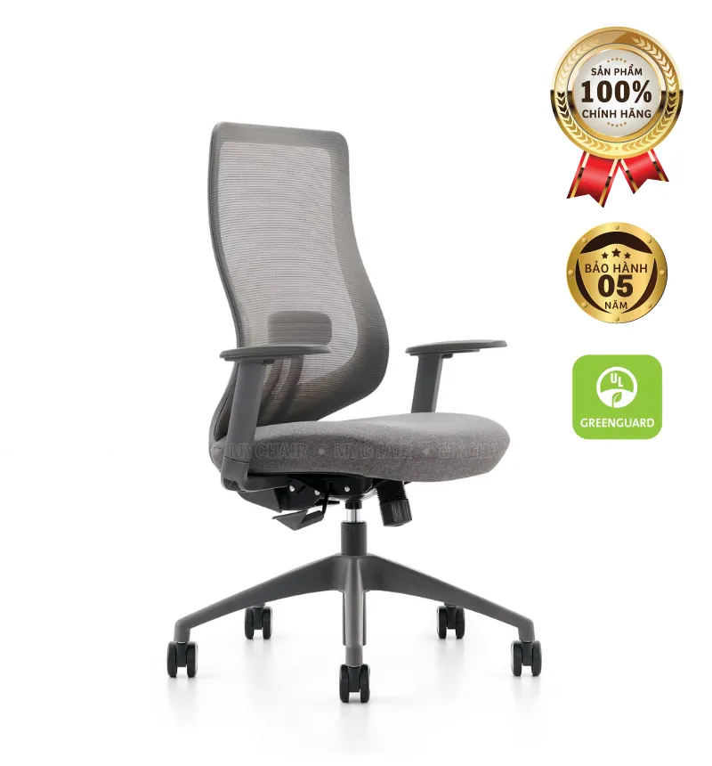 Ghế Công Thái Học XKYF