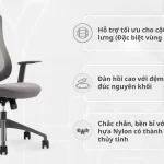 Ghế Công Thái Học XKYF