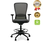 Ghế Công Thái Học Văn Phòng VXTDL